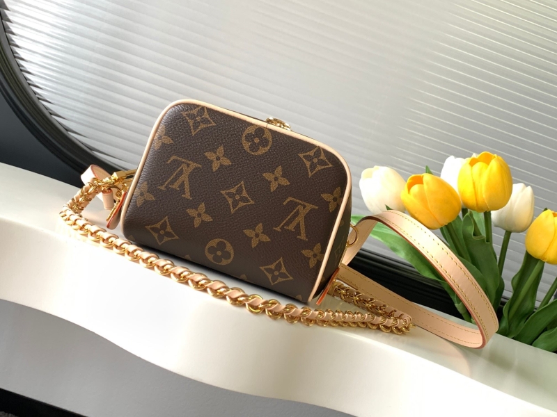 LV Satchel bags